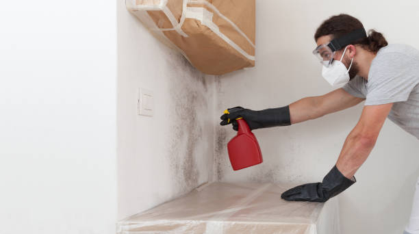 Professional Mold Remediation technician working in Marshall, VA