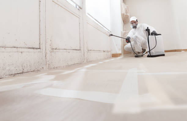 24/7 Emergency Mold Remediation experts in Marshall, VA