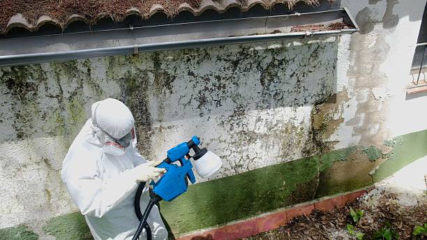 Top rated local Mold Remediation specialists in Marshall, VA